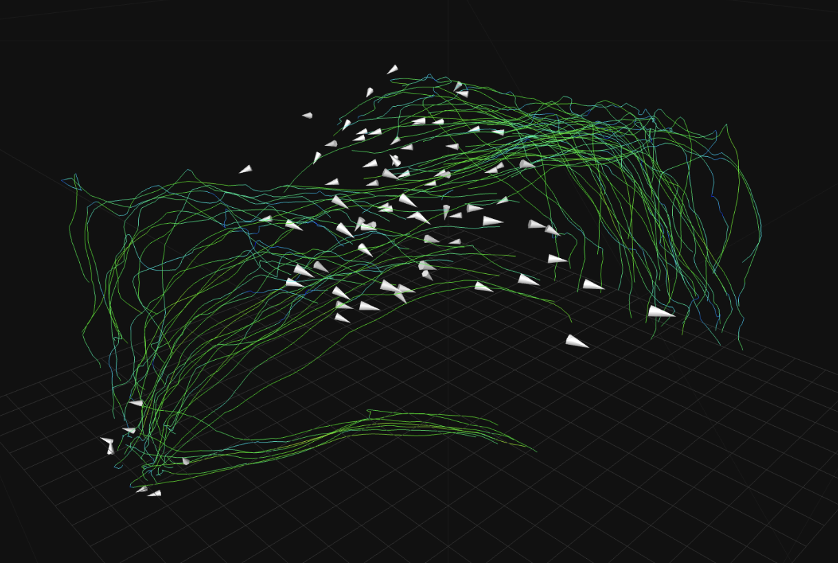 Edge Bundled Flocking Visualization